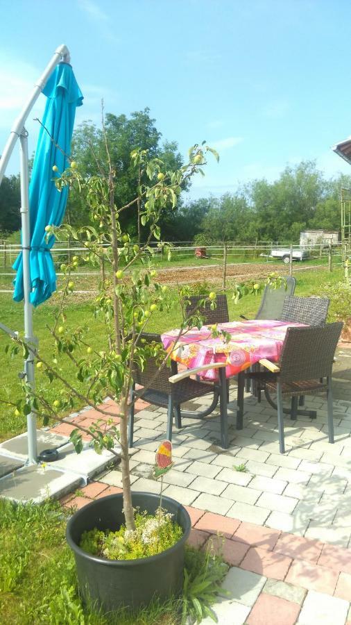 Ferienwohnung Am Verlorenen Bach Untermuhlhausen Ngoại thất bức ảnh